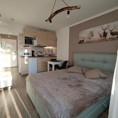 20qm Mit Balkon Und Innenpool - 22010 슈룩흐제